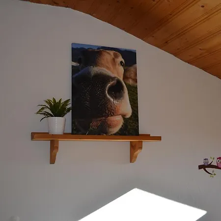 Appartement Waldvogel *